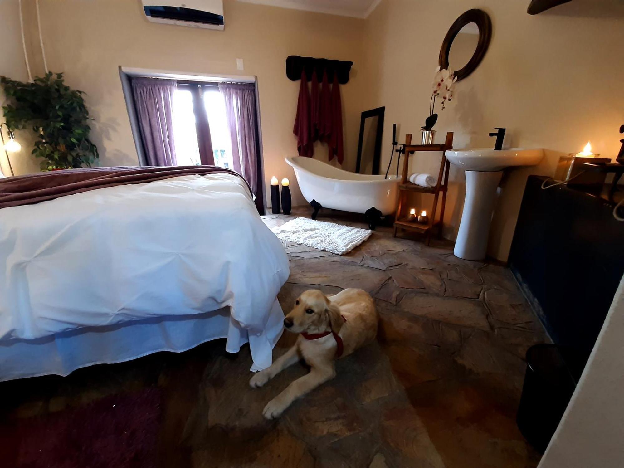 Rosenhof Manor House - Since 1847 Apartment Clanwilliam Bagian luar foto